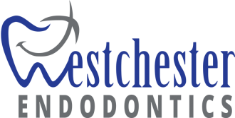 Link to Westchester Endodontics home page